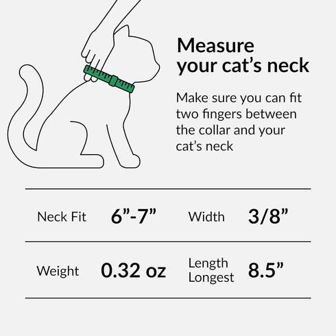 CollarDirect Leather Cat Collar, Kitten Collar with Removable Bell, Black Blue Red Orange Lime Green
