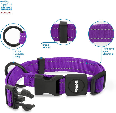 Best Pet Supplies Reflective Dog Collar - Adjustable Length, Heavy-Duty Buckle, D-Ring for Training, Walking, Jogging -