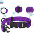Best Pet Supplies Reflective Dog Collar - Adjustable Length, Heavy-Duty Buckle, D-Ring for Training, Walking, Jogging -