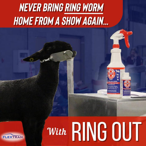 Ring Out 32 oz. Spray - Control and Help Ringworm for Cats, Dogs, Sheep, Goats, Cattle, Horses, and Pets