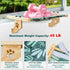 Hammock Cat Window Perch for Large Cats Inside, Sturdy Cat Window Seat with Cooling Mat, Adjustable Cats Platform Bed