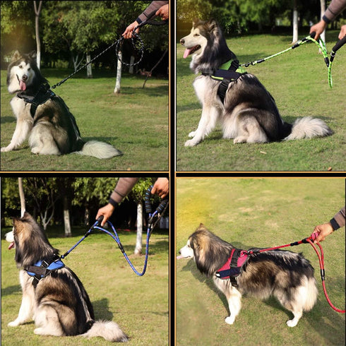 Love Dream Dog Leash, 5ft Long, 2 Comfortable Padded Handles, Reflective Threads, Double Handles for Control Safety