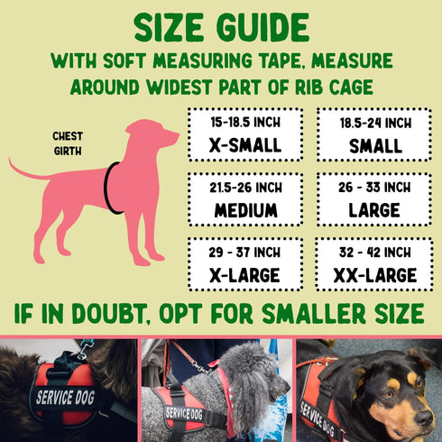 Service Dog Vest, ID Tag and ADA Info Cards - Harness in X Small to XX Large, Durable Metal Tag, 2-Sided Service Animal Cards. ESA Accessory Set by Pelto