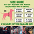Service Dog Vest, ID Tag and ADA Info Cards - Harness in X Small to XX Large, Durable Metal Tag, 2-Sided Service Animal Cards. ESA Accessory Set by Pelto