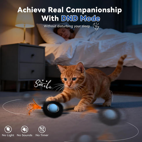 KiwiLove 7-Hole Interactive Cat Toy with Motion Activated Ball & Play Mat, Hide and Seek Exercise Game for Indoor Cats