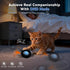 KiwiLove 7-Hole Interactive Cat Toy with Motion Activated Ball & Play Mat, Hide and Seek Exercise Game for Indoor Cats