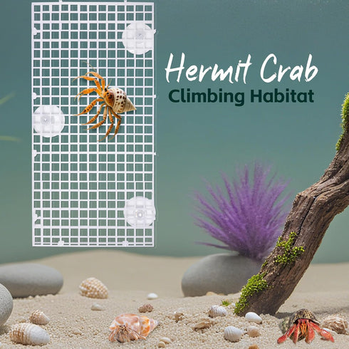 Hermit Crab Climbing Ladder & Wall Decor for Aquariums