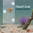Hermit Crab Climbing Ladder & Wall Decor for Aquariums