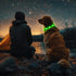 LED Dog Collar - HIGO Light Up Dog Collars, USB Rechargeable Necklace Light for Dogs Walking at Night