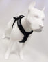 ActiveDogs No-Pull Service Dog Adjustable Strap Harness, XL Girth 29"-44" with Quick Release Buckle