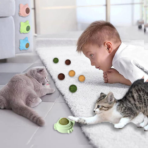 9PCS Catnip Toys, 360 Rotatable Silvervine Ball Kitten Chew Treat for Indoor Dental Care