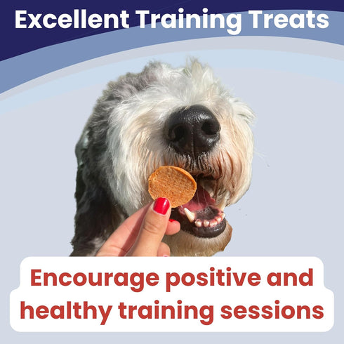 Dog Training Treats - Chicken Chips, Single Ingredient, Lean, All Natural, Healthy Dog Treats for All Breeds