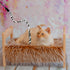 Sumind 3 Pieces Jungle Cat Wand Teaser Charmer Interactive Fun Toys for Kittens, 3 Styles (Classic Color)