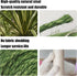 Natural Sisal Rope for Cat Scratcher, 1/4 Inch 33FT Multi Color Replacement Rope for Cat Scratching Post