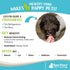 Raw Paws Freeze-Dried Green Beef Tripe for Dogs & Cats, 8-oz - Grain & Wheat Free - Made in USA