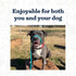 Mad Dog Products English Slip Dog Lead, 3/8 Inch x 4 Feet, Teal