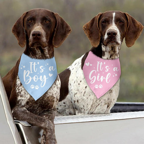 Luptiteuy 2 Pack It's a Boy It's a Girl Baby Announcement Dog Bandana Gender Reveal boy and Girl Pregnancy Announcement