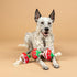 (314495) Fringe Studio Plush Dog Toy with Rope, Covered with Love, Petshop Collection