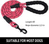 5/6 FT Strong Dog Leash for Pets, Highly Reflective Rope, Soft Padded Handle, 360-Degree Rotating Metal Buckle, 5ft