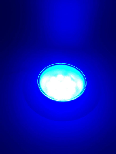 Pactrade Marine RV Boat Pontoon LED Courtesy Ceiling Light, Energy Saving 12V DC