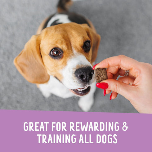 (5oz Health Extension Crunchy Munchies Granola Bites Blueberry Ruffin Flavor, Natural Limited Ingredient Dog Treats