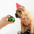 DOITOOL Pet Training Press Bell for Dogs and Puppies Colorful Bright Green Dog Dinner Training Bell for Potty