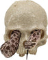 Reptile Aquarium Skull Decor, Snake Hideout Resin Skeleton Head Fish Hide, 4.7 × 3.5 × 3.7 Inch