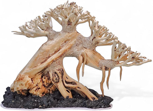 Azil Aquascape Bonsai Driftwood Tree 10 Premium Natural Aquarium Decor for Fish