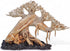 Azil Aquascape Bonsai Driftwood Tree 10 Premium Natural Aquarium Decor for Fish