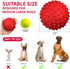 Apasiri Dog Balls Squeaky Toys for Large Dogs, Tough Spiky Floatable Rubber Pet Toys, Pack of 2