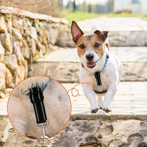 Dog Safety Clip 2pcs, Prong Collar Backup Clips with Dual Metal Clasps, Adjustable Reflective Nylon Harness to Collar