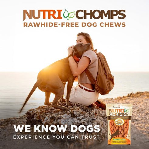NutriChomps Dog Chews, 6-inch Braids, 4 Count Rawhide-Free Treats, Easy to Digest, Real Peanut Butter Flavor
