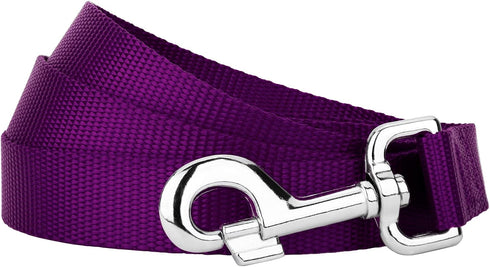 Country Brook Petz 1 Inch Nylon Dog Leash, Traditional Style, Purple, 6 Foot