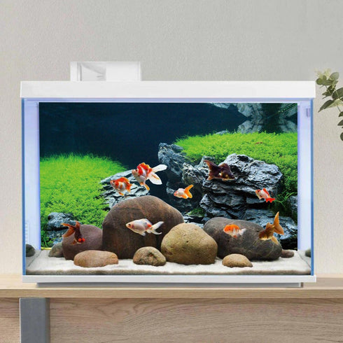AWERT 24x16 inches Seaweed Aquarium Background, Stone Aquarium Background, River Bed & Lake
