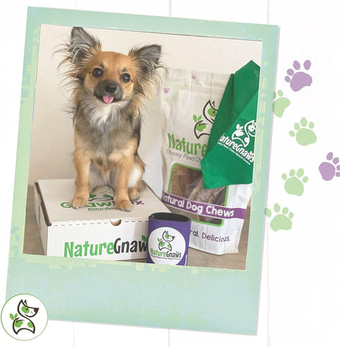 Nature Gnaws Thin Bully Sticks for Dogs 5-6" (1Lb), Mixed Thickness, Long Lasting Natural Thin Beef Chew Bones