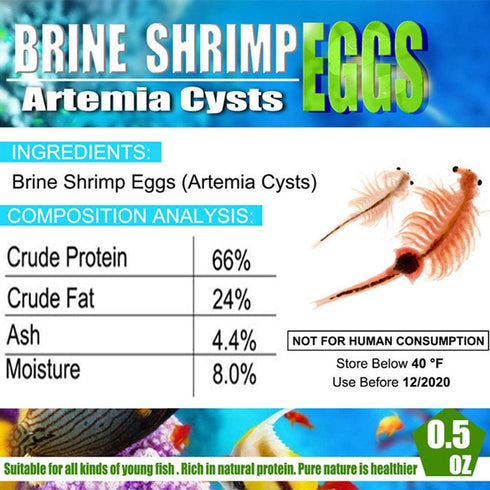 90% (0.5 OZ) Brine Shrimp Eggs for Aquatic Foods Baby & Fry Foods The Popular Hatch GSL Brine Shrimp Eggs