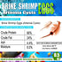 90% (0.5 OZ) Brine Shrimp Eggs for Aquatic Foods Baby & Fry Foods The Popular Hatch GSL Brine Shrimp Eggs