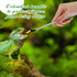 2 Pcs Extra Long Stainless Steel Reptile Feeding Tongs, Bearded Dragon Aquarium Straight and Curved Long Tweezer
