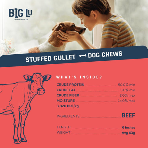 5-6 Inch 10 Count, Stuffed Beef Jerky Sticks, Premium All-Natural Gullet Chews, High-Protein, Easily Digestible