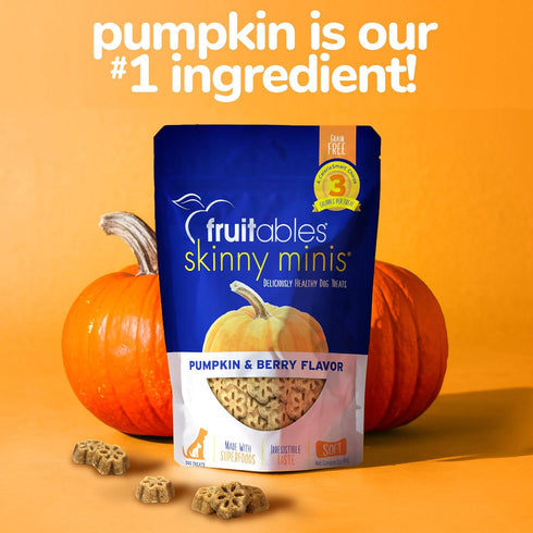 Fruitables Skinny Mini Dog Treats, Healthy Soft Training Treats, Pumpkin & Berry Flavor, 5 Ounces