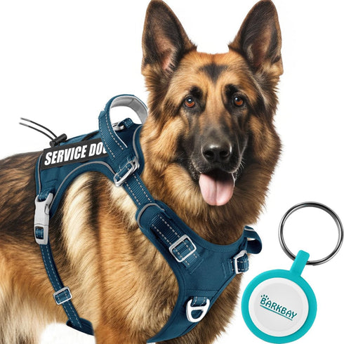 BARKBAY Service Dog Vest | Tactical Dog Harness for Medium Large Dogs | No Pull, Adjustable, Reflective, Legion Blue, L
