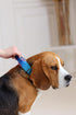 Tactical Dog Collar with Control Handle - Adjustable, Heavy Duty for Medium and Large Breeds