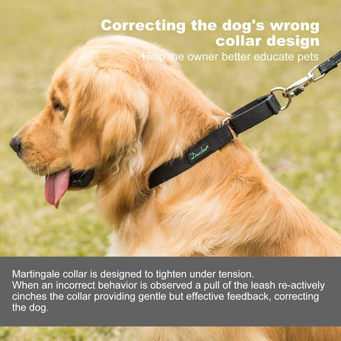 Martingale Collar Nylon Dog Collar - Dazzber Heavy Duty No Pull Pet Collar for Large Dogs, Adjustable 17" to 25"