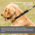 Martingale Collar Nylon Dog Collar - Dazzber Heavy Duty No Pull Pet Collar for Large Dogs, Adjustable 17" to 25"