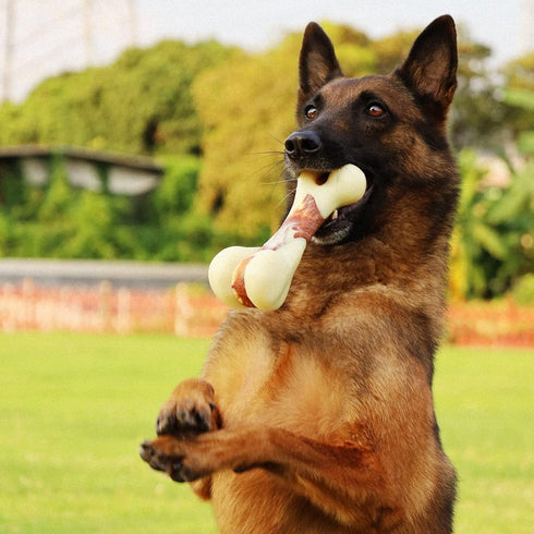 Tikaton Dog Chew Toys, Durable Peanut Butter Flavor Bones for Large/Medium/Small Puppies, Aggressive Chewers