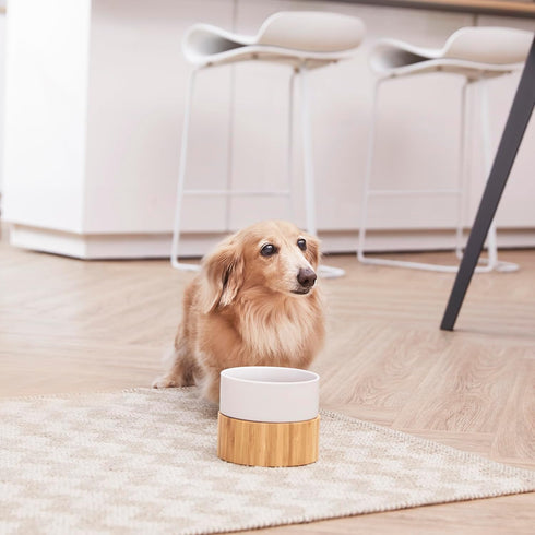 Billie Elevated Ceramic Pet Bowl with Bamboo Stand - Brown