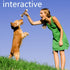 Dog Bones Chew Toys for Aggressive Chewers, 3 Pack Real Beef Flavor, Indestructible Teething Toys for All Breeds