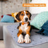 2Pack 36x41 Washable Pee Pads for Dogs, Puppy Pads Washable,Absorbent Reusable Whelping Pads Non-Slip Dog Mats