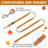 azuza Nylon Fall Dog Collar and Leash Set, Strong & Durable Basic Style Leash for Small Dogs, Latte Brown, S