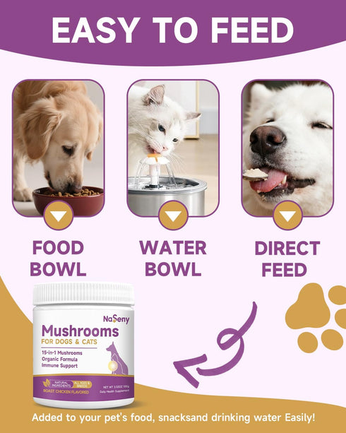 10 Immunity, Mushroom for Dogs & Cats - Turkey Tail for Dogs - Organic Mushroom Supplement with Turkey Tail, Reishi